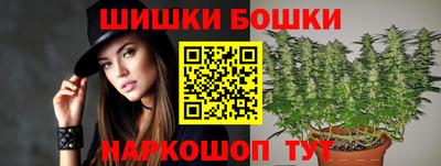 крисы Лесосибирск