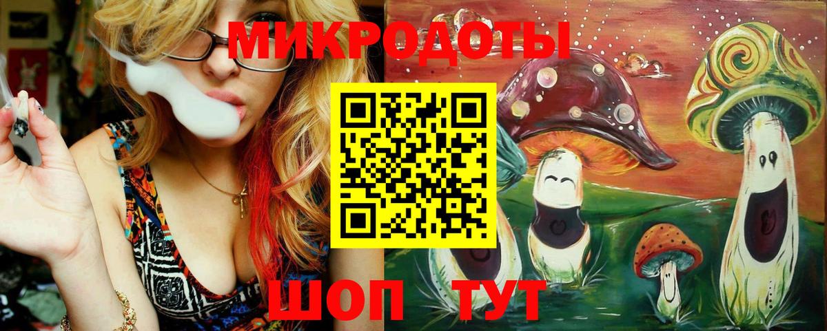 Псилоцибиновые грибы Cubensis Всеволожск